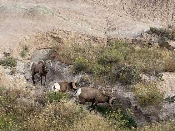 Badlands National Park