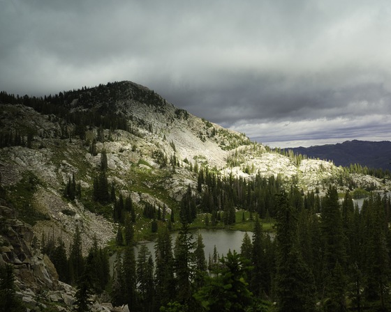 Wasatch National Forest