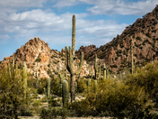 Sonoran Desert National Monument