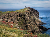 Channel Islands National Park