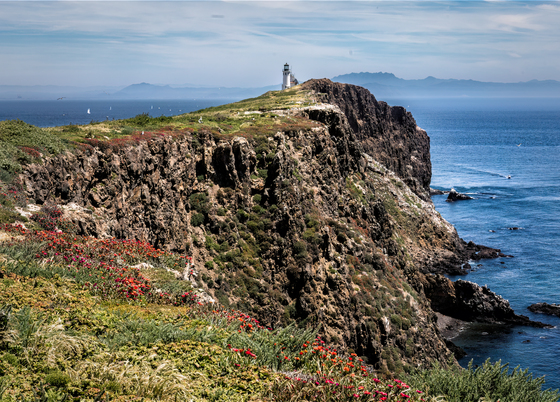 Channel Islands National Park