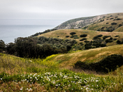 Channel Islands National Park