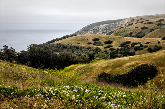 Channel Islands National Park