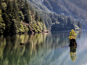 North Cascades National Park
