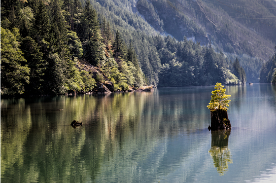 North Cascades National Park