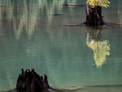 North Cascades National Park