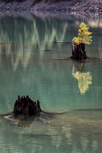 North Cascades National Park