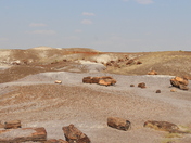 Petrified Forest National Park