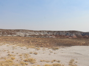 Petrified Forest National Park
