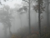 Great Smoky Mountain National Park