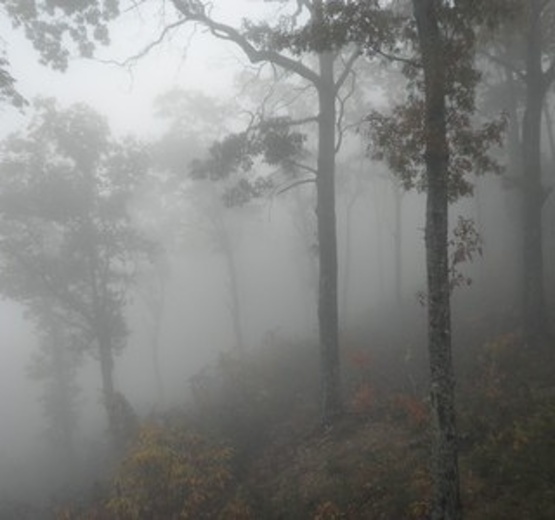 Great Smoky Mountain National Park
