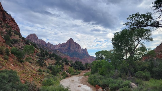 Zion national park 