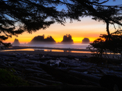 Olympic National Park