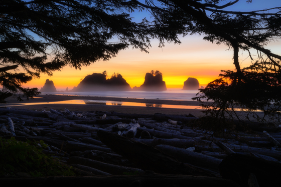 Olympic National Park