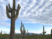 Black Canyon National Recreation Trail