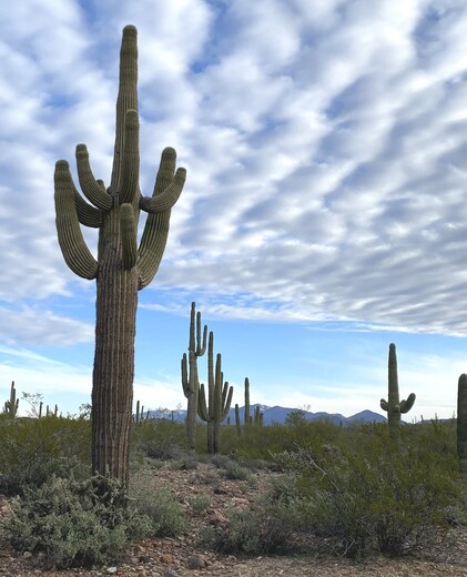 Black Canyon National Recreation Trail