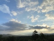 Prescott National Forest