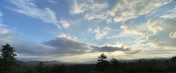 Prescott National Forest
