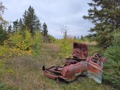 Old car in the forest.