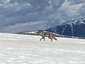Rocky Mountain National Park