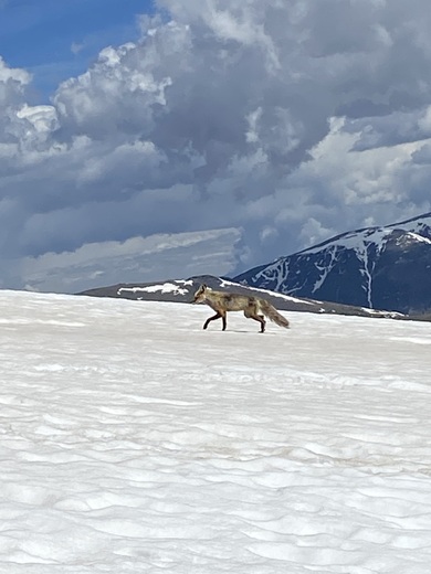 Rocky Mountain National Park