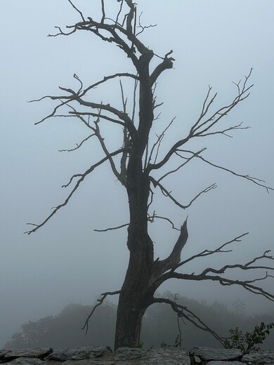 Shenandoah National Park