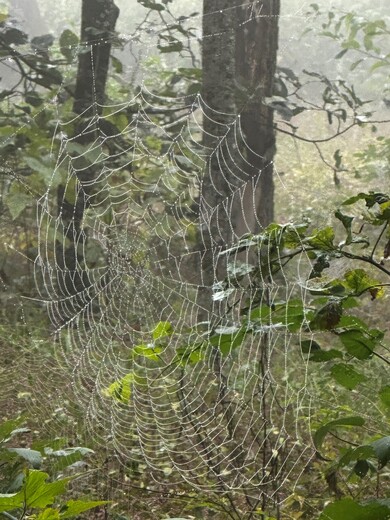 Shenandoah National Park