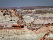 Petrified Forest National Park