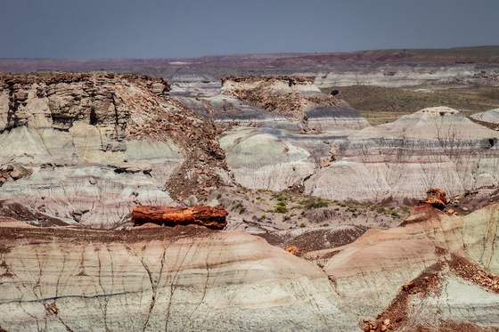 Petrified Forest National Park