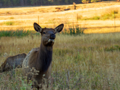 Rocky Mountain National Park