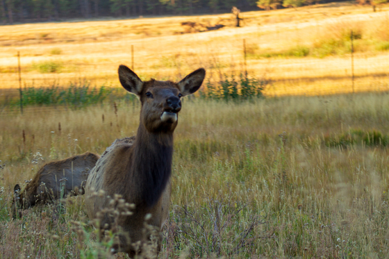 Rocky Mountain National Park