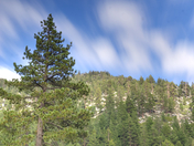 Lake Tahoe Basin Management Unit