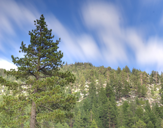 Lake Tahoe Basin Management Unit