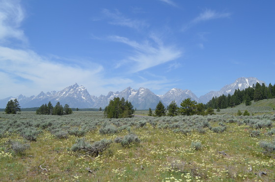 Grand Teton National Park