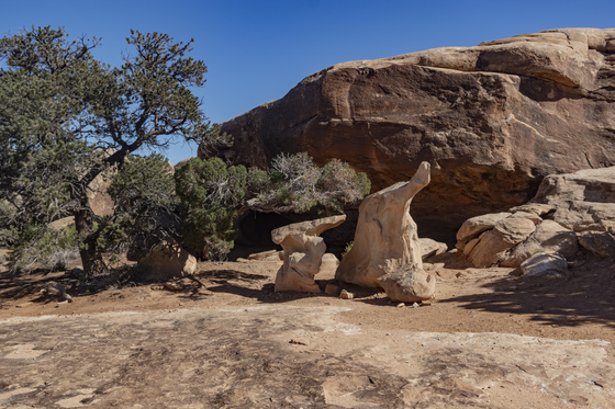 Canyonlands National Park (The Needles)