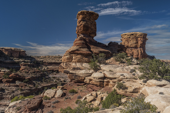 Canyonlands National Park (The Needles)