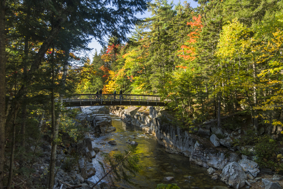 White Mountain National Forest