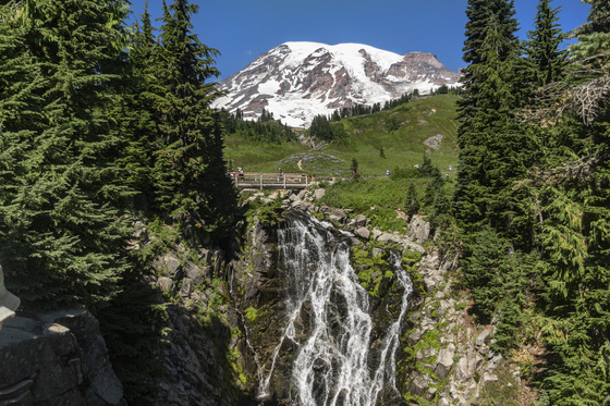 Mt. Rainier National Park