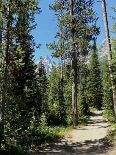 Grand Teton National Park 