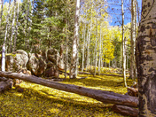 Aspen Corner Flagstaff