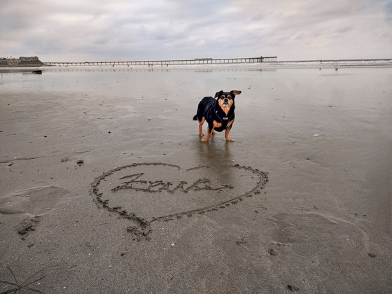 Ocean Beach, California