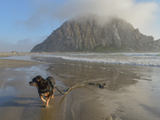 Morro Rock Beach