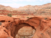 Capitol Reef National Park