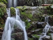 Shenandoah National Park