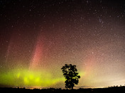 Tree Face and the Northern Lights