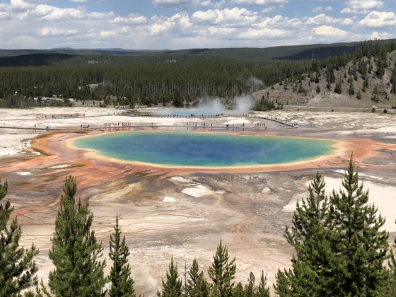 Yellowstone national park