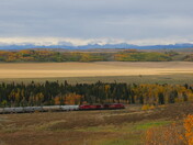 Fall in Glenbow Ranch Provincial Park