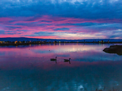 Don Edwards San Francisco Bay National Wildlife Refuge