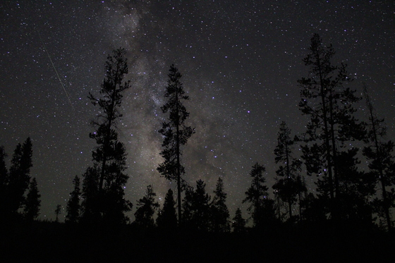 Sawtooth National Forest