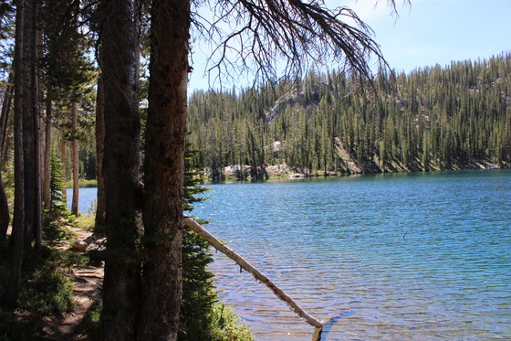 Sawtooth National Forest